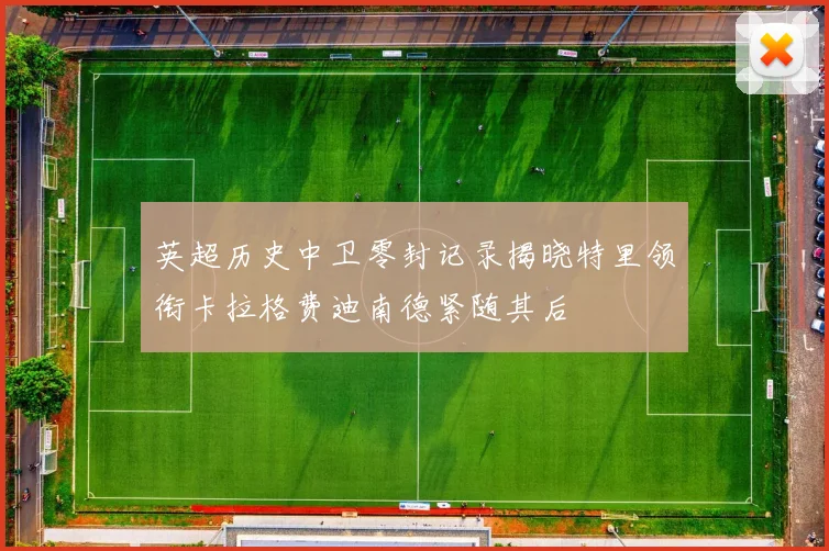 英超历史中卫零封记录揭晓特里领衔卡拉格费迪南德紧随其后