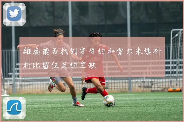 雄鹿能否找到字母的加索尔来填补科比留住后的空缺